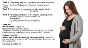 هل تختلف علامات الحمل المبكرة التي يجب معرفتها حسب نوع الجنين؟ (ولد أم بنت) أبرز علامات الحمل المبكرة التي يجب معرفتها